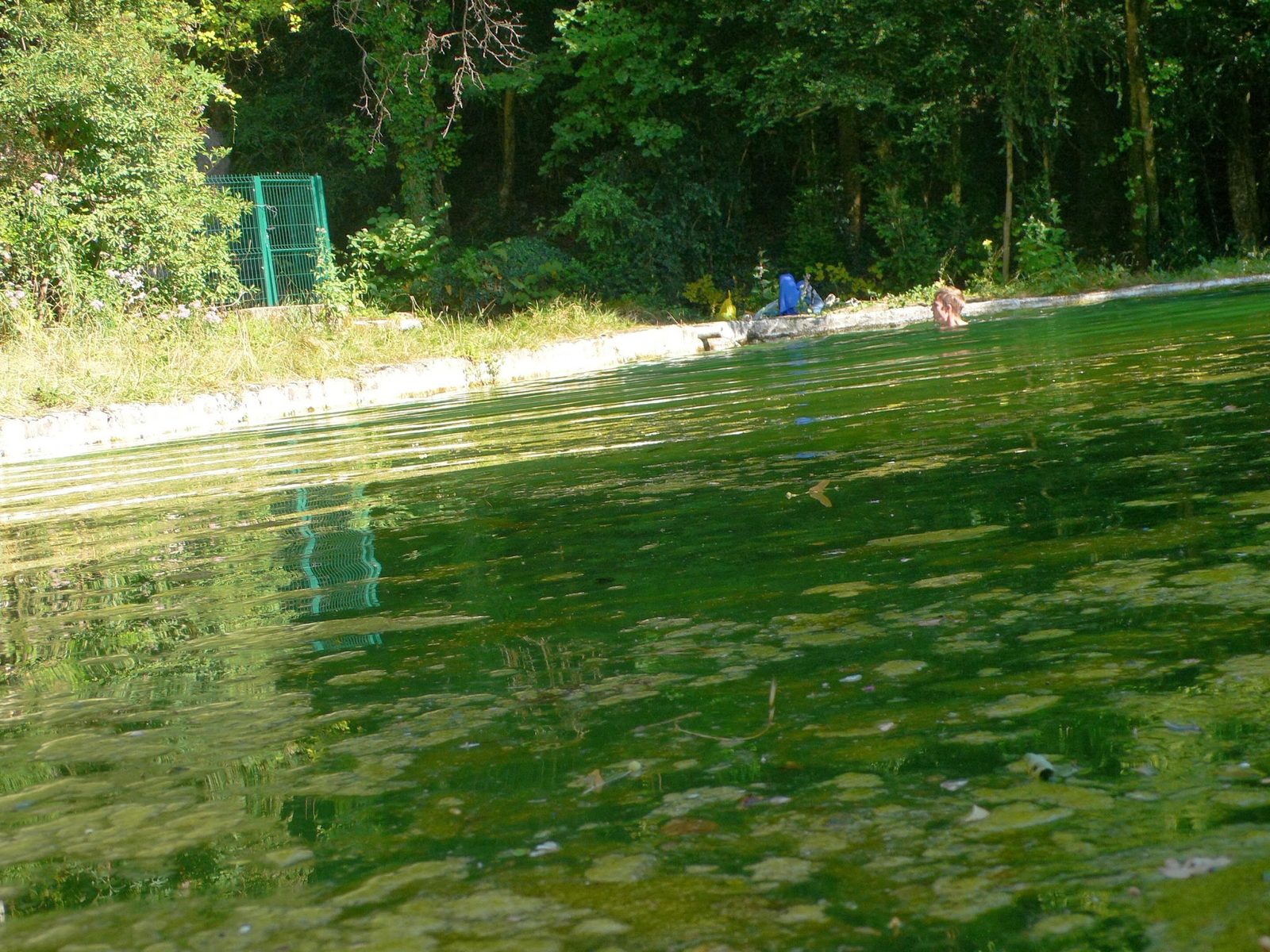 Eau vive et baignade au fil d’une rivière