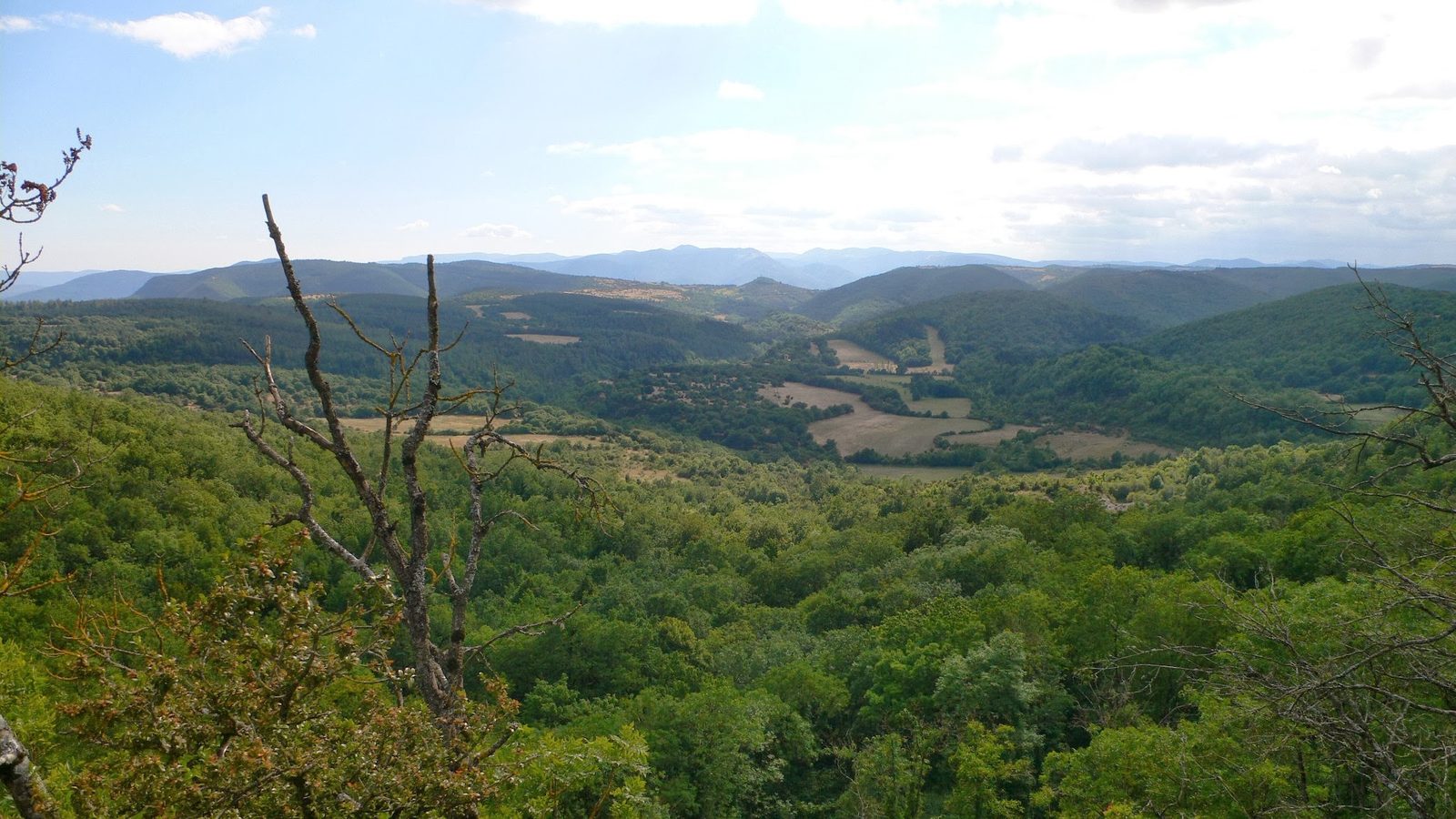 Vue panoramique sur une vallée boisée des grands causses